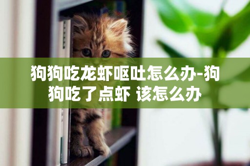 狗狗吃龍蝦嘔吐怎么辦-狗狗吃了點蝦 該怎么辦