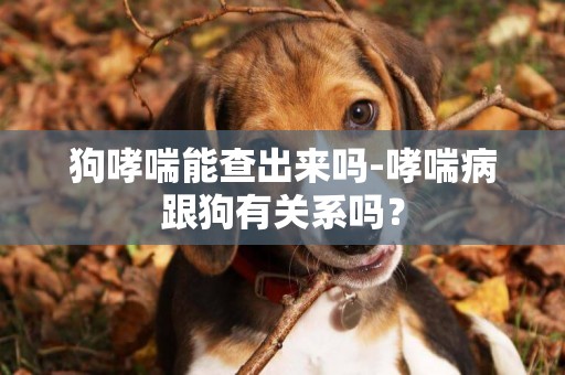 狗哮喘能查出來嗎-哮喘病跟狗有關系嗎？