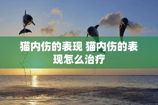 貓內傷的表現 貓內傷的表現怎么治療