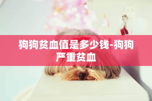 狗狗貧血值是多少錢-狗狗嚴重貧血