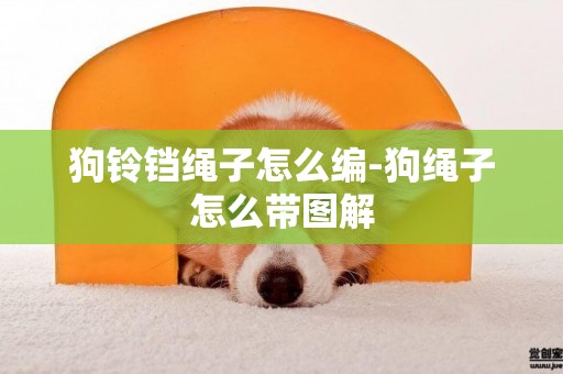 狗鈴鐺繩子怎么編-狗繩子怎么帶圖解
