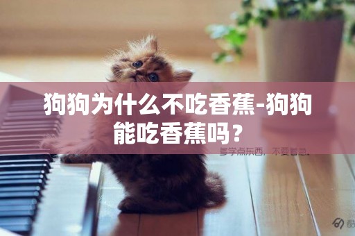 狗狗為什么不吃香蕉-狗狗能吃香蕉嗎？