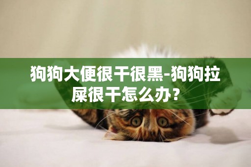 狗狗大便很干很黑-狗狗拉屎很干怎么辦？
