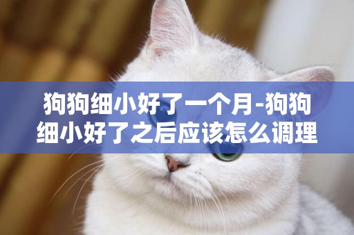 狗狗細小好了一個月-狗狗細小好了之后應該怎么調理