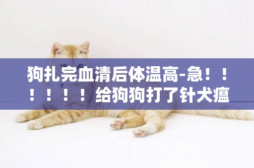 狗扎完血清后體溫高-急！！！！！！給狗狗打了針犬瘟血清后體溫升高正常嗎?