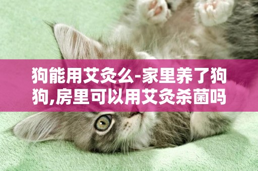狗能用艾灸么-家里養了狗狗,房里可以用艾灸殺菌嗎