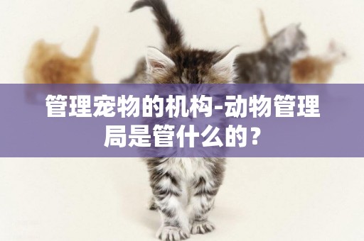 管理寵物的機構-動物管理局是管什么的？