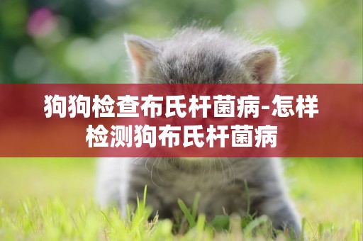 狗狗檢查布氏桿菌病-怎樣檢測狗布氏桿菌病