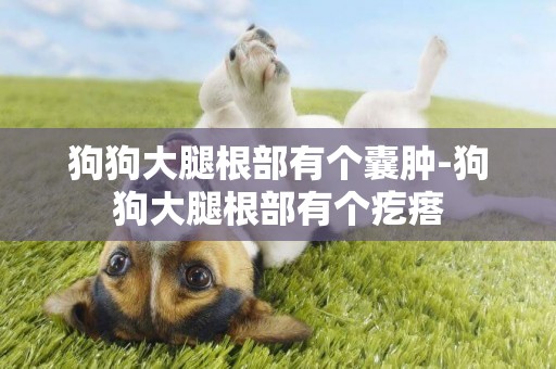 狗狗大腿根部有個囊腫-狗狗大腿根部有個疙瘩