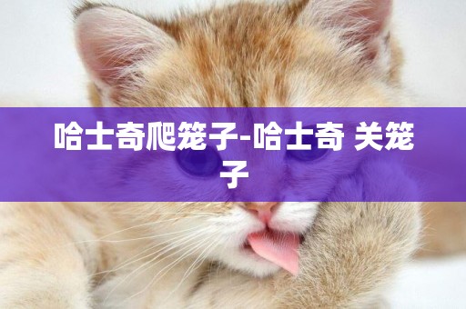 哈士奇爬籠子-哈士奇 關籠子