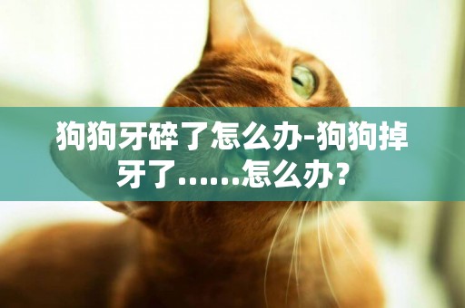 狗狗牙碎了怎么辦-狗狗掉牙了……怎么辦？