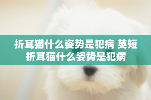 折耳貓什么姿勢是犯病 英短折耳貓什么姿勢是犯病