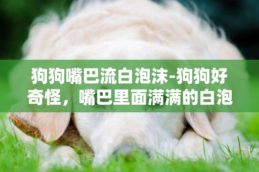 狗狗嘴巴流白泡沫-狗狗好奇怪，嘴巴里面滿滿的白泡沫還會滴到地上··