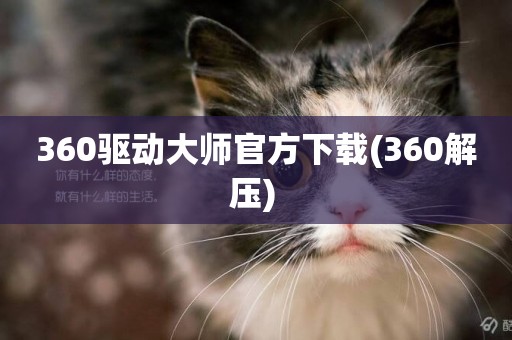 360驅動大師官方下載(360解壓) 