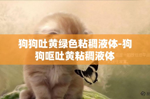 狗狗吐黃綠色粘稠液體-狗狗嘔吐黃粘稠液體