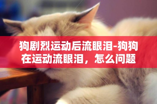 狗劇烈運動后流眼淚-狗狗在運動流眼淚，怎么問題
