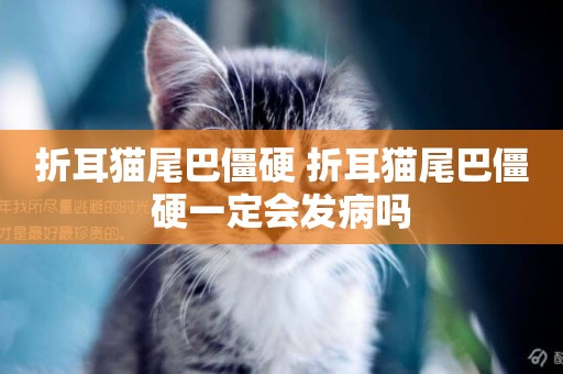 折耳貓尾巴僵硬 折耳貓尾巴僵硬一定會發病嗎