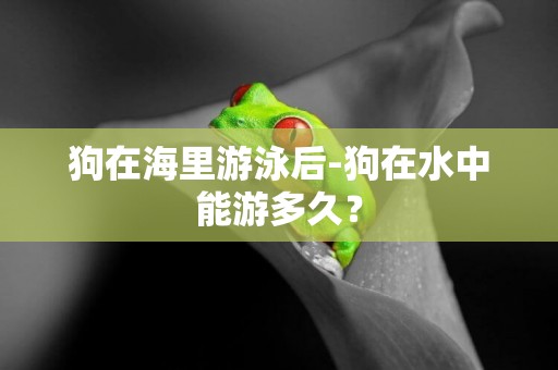 狗在海里游泳后-狗在水中能游多久？