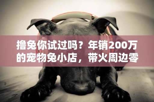擼兔你試過嗎？年銷200萬的寵物兔小店，帶火周邊零食店，治愈不愛上學的孩子 