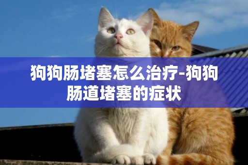 狗狗腸堵塞怎么治療-狗狗腸道堵塞的癥狀