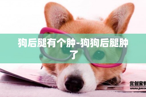 狗后腿有個腫-狗狗后腿腫了