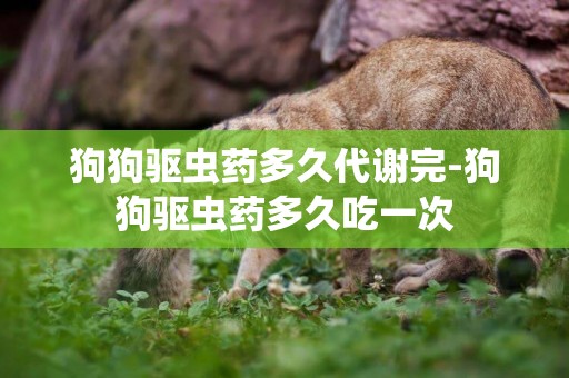 狗狗驅蟲藥多久代謝完-狗狗驅蟲藥多久吃一次