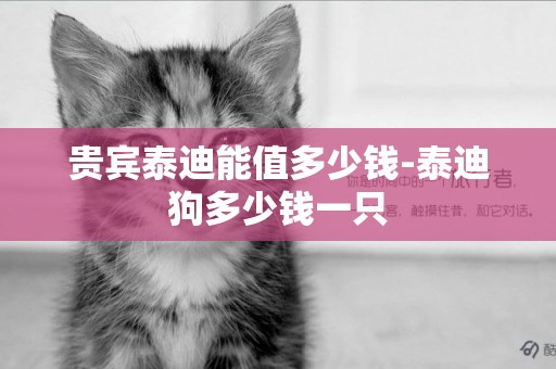 貴賓泰迪能值多少錢-泰迪狗多少錢一只