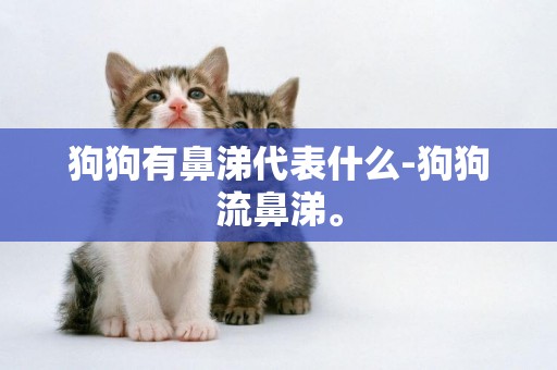 狗狗有鼻涕代表什么-狗狗流鼻涕。