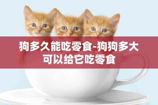 狗多久能吃零食-狗狗多大可以給它吃零食