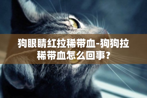 狗眼睛紅拉稀帶血-狗狗拉稀帶血怎么回事？