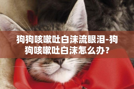 狗狗咳嗽吐白沫流眼淚-狗狗咳嗽吐白沫怎么辦？