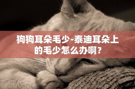 狗狗耳朵毛少-泰迪耳朵上的毛少怎么辦啊？