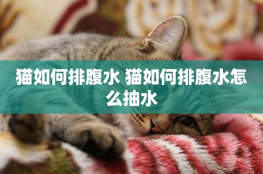 貓如何排腹水 貓如何排腹水怎么抽水