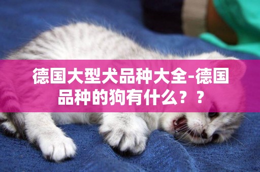 德國大型犬品種大全-德國品種的狗有什么？？