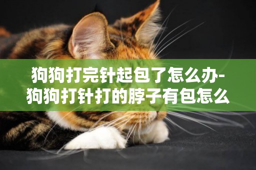 狗狗打完針起包了怎么辦-狗狗打針打的脖子有包怎么辦