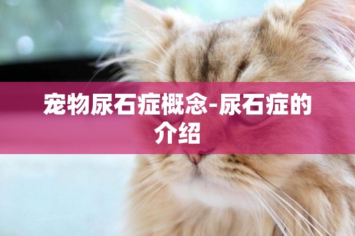 寵物尿石癥概念-尿石癥的介紹