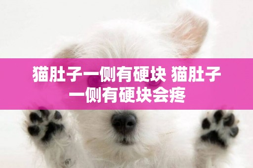 貓肚子一側有硬塊 貓肚子一側有硬塊會疼