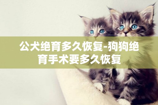 公犬絕育多久恢復-狗狗絕育手術要多久恢復