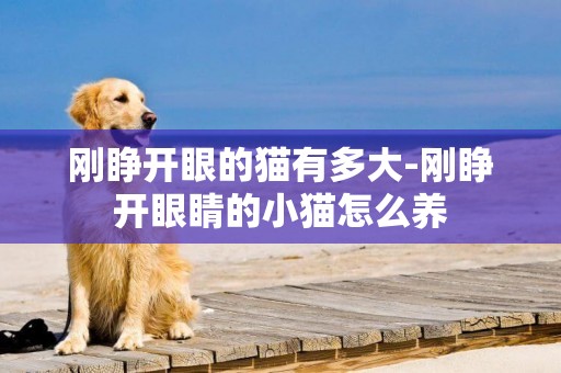 剛睜開眼的貓有多大-剛睜開眼睛的小貓怎么養