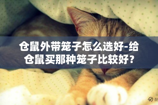 倉鼠外帶籠子怎么選好-給倉鼠買那種籠子比較好？