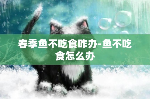 春季魚不吃食咋辦-魚不吃食怎么辦