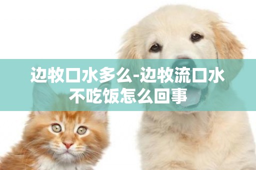 邊牧口水多么-邊牧流口水不吃飯怎么回事
