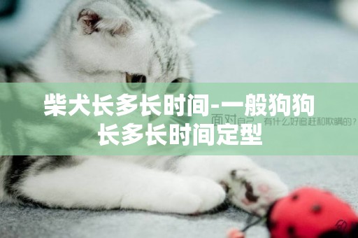 柴犬長多長時間-一般狗狗長多長時間定型