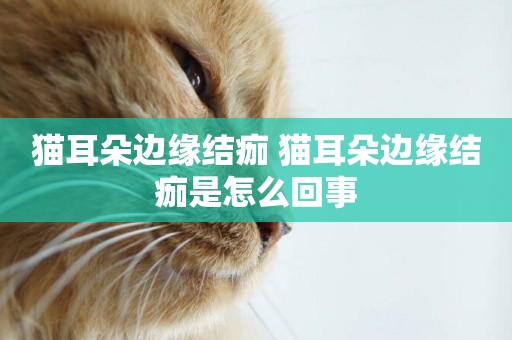 貓耳朵邊緣結痂 貓耳朵邊緣結痂是怎么回事