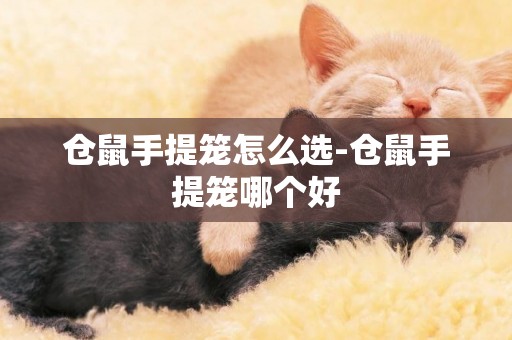 倉鼠手提籠怎么選-倉鼠手提籠哪個好