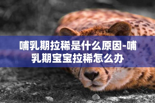 哺乳期拉稀是什么原因-哺乳期寶寶拉稀怎么辦