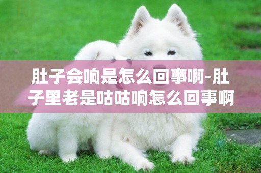 肚子會響是怎么回事啊-肚子里老是咕咕響怎么回事啊