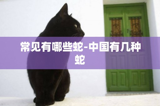 常見有哪些蛇-中國有幾種蛇