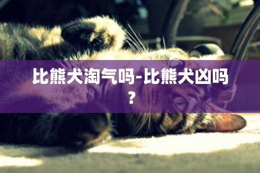 比熊犬淘氣嗎-比熊犬兇嗎？