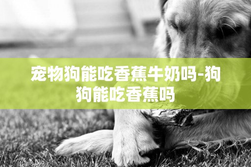 寵物狗能吃香蕉牛奶嗎-狗狗能吃香蕉嗎